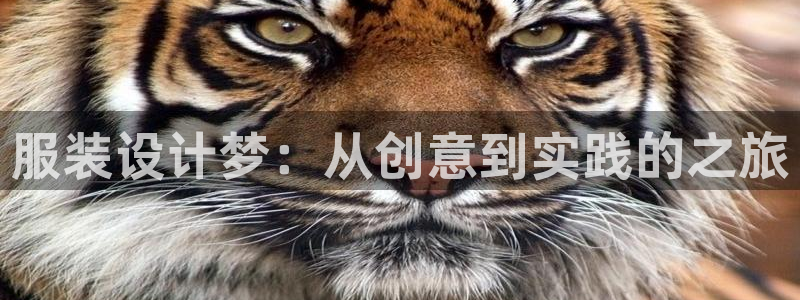 开丰娱乐手机app