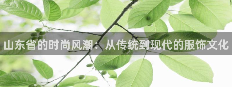 开丰娱乐线路