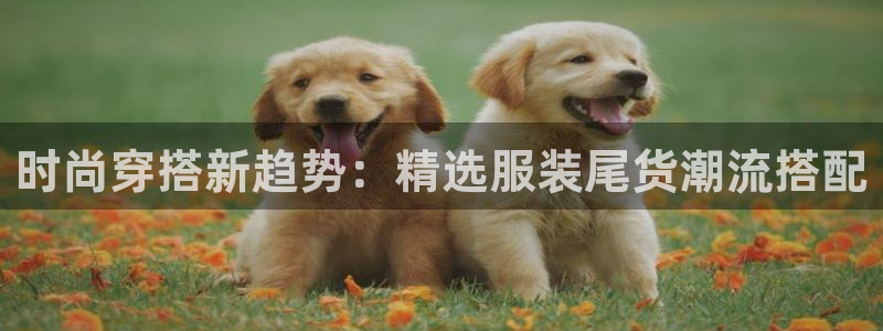开丰娱乐官网最新消息
