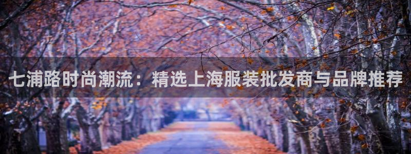 开丰娱乐左7O667