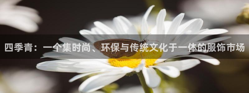 开丰娱乐下载安装