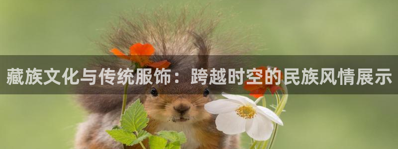 开丰娱乐地址查询
