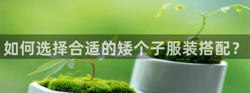 开丰娱乐手机app