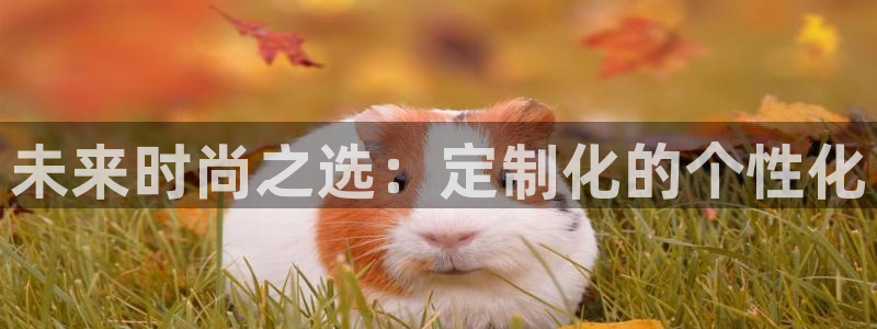 开丰娱乐官网平台