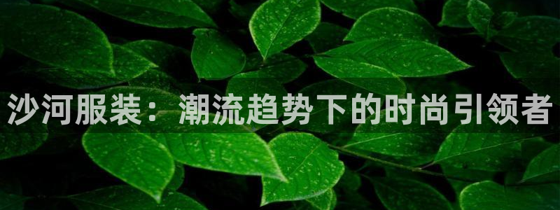 开丰娱乐官网电话