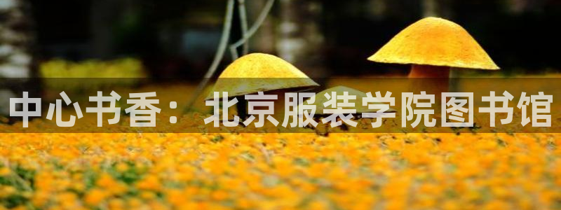 开丰娱乐地址