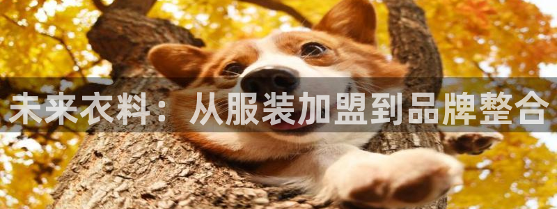 开丰娱乐平台地址电话