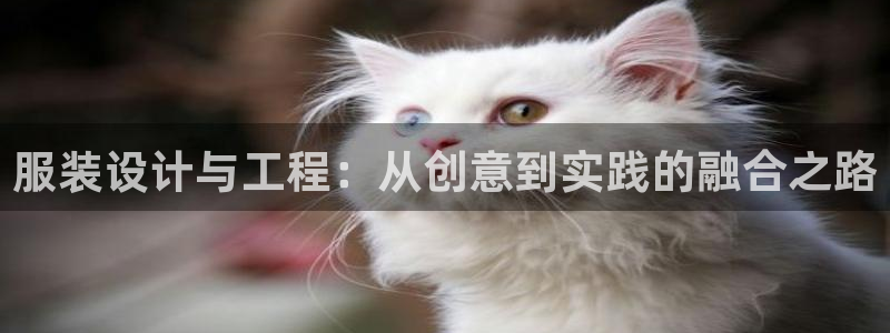 开丰娱乐天7O667