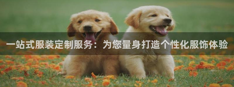 开丰娱乐官网平台