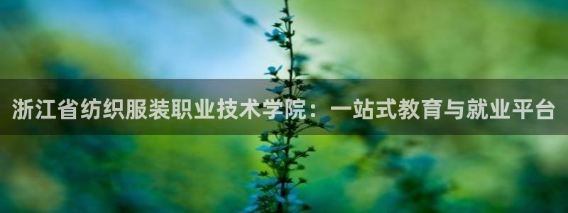 开丰娱乐官方app
