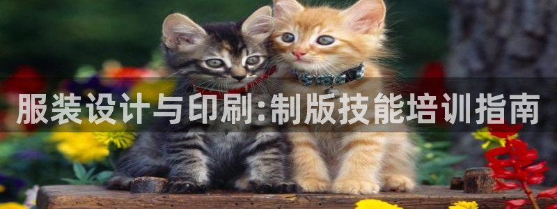 开丰娱乐官网平台电话