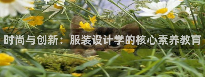 开丰娱乐官方app