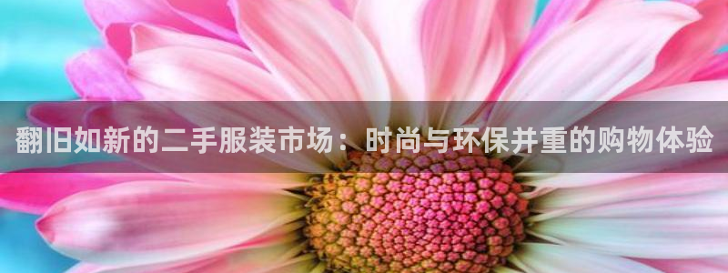 开丰娱乐更多平台