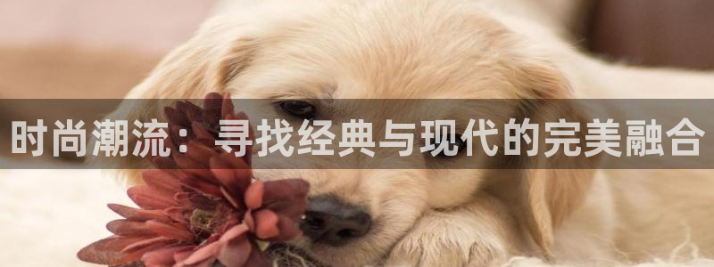 开丰娱乐若七九九