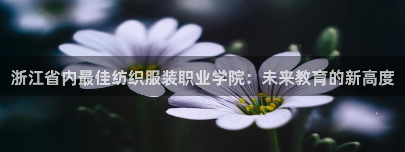 开丰娱乐官方app