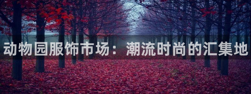 开丰娱乐网站官网下载