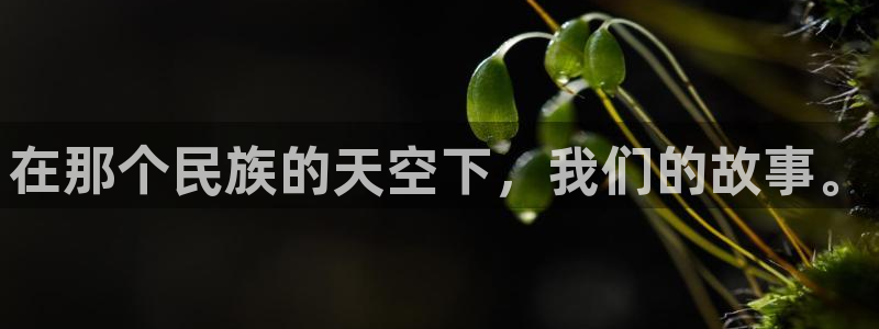 开丰娱乐月7O667