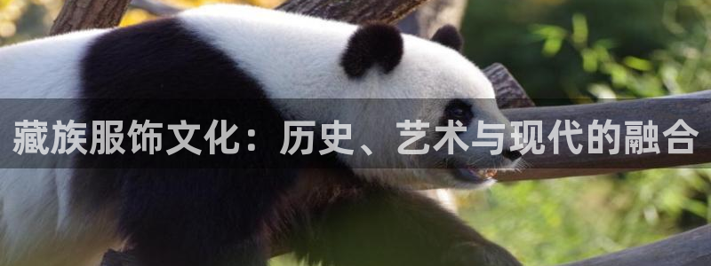 开丰娱乐联系q徽22212