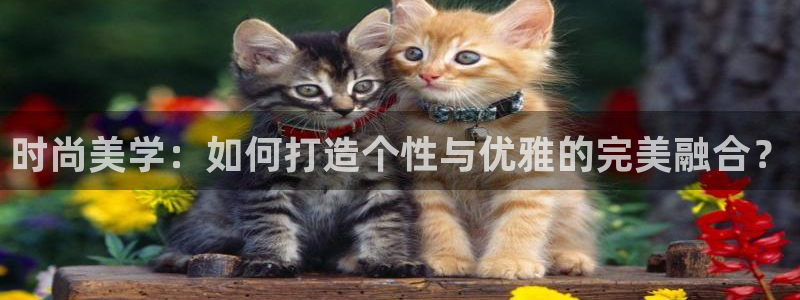 开丰娱乐注册自判官333OO