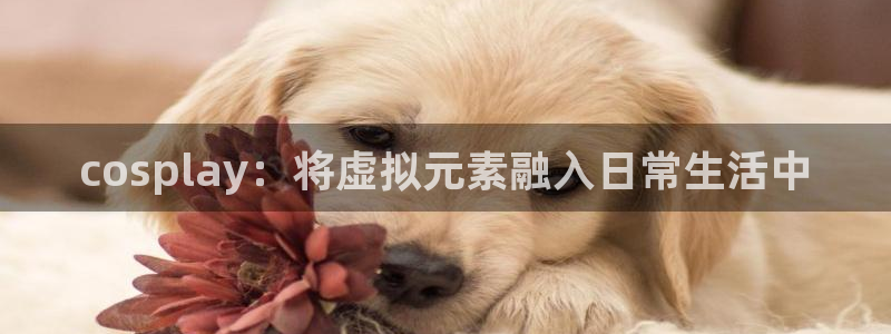 开丰娱乐行业恢复时间