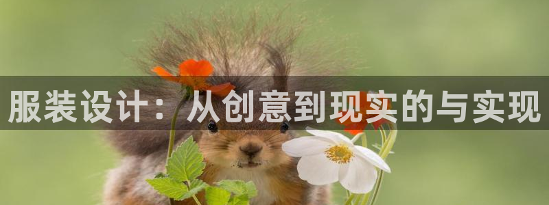 开丰娱乐地址