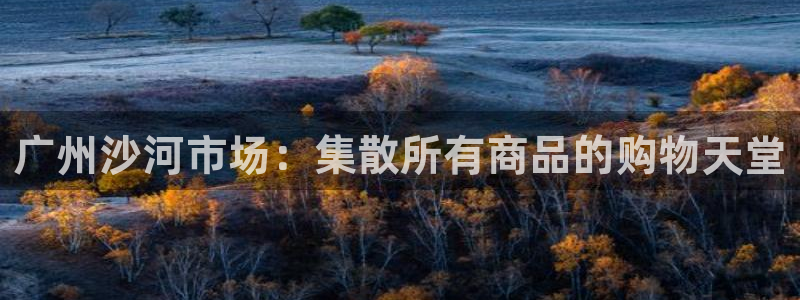 开丰娱乐会员中心