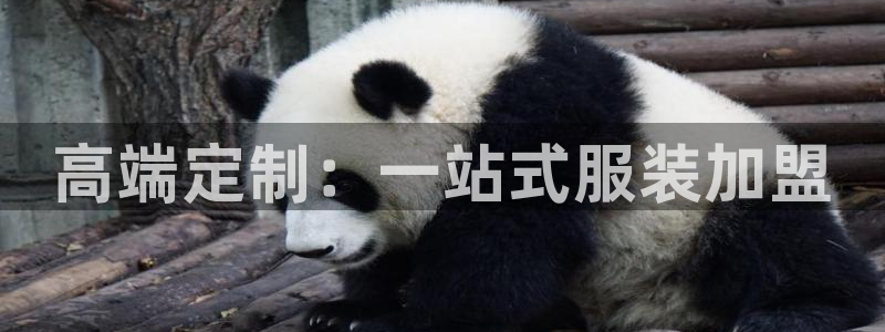 开丰娱乐平台登录网址