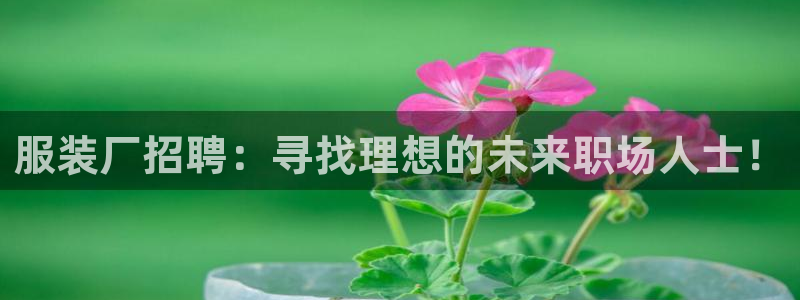 开丰娱乐联系q徽22212