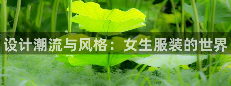 开丰娱乐网官网注册入口