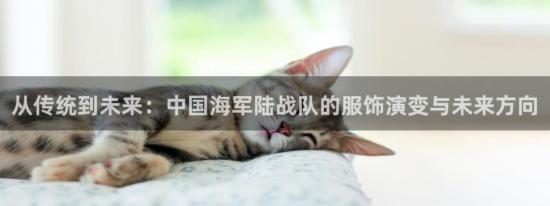 开丰娱乐地址查询