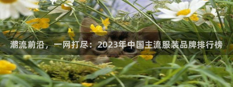 开丰娱乐登入地址查询