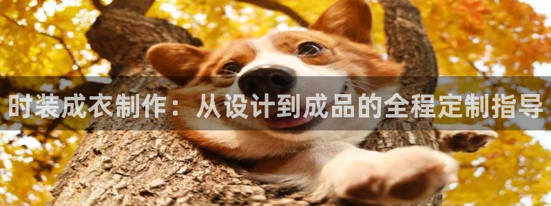 开丰娱乐姜333OO