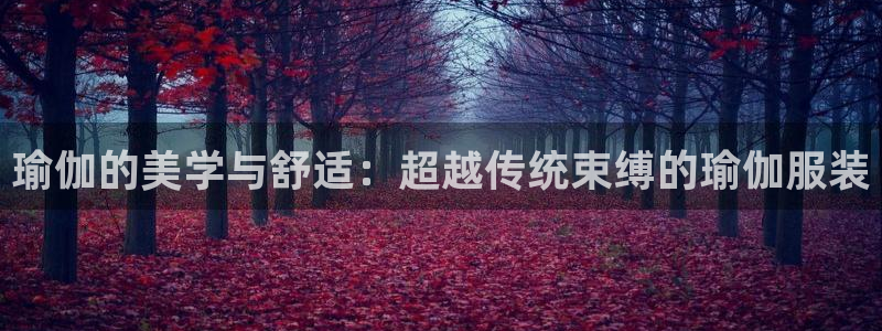 开丰娱乐平台注册