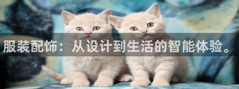 开丰娱乐平台官网网址