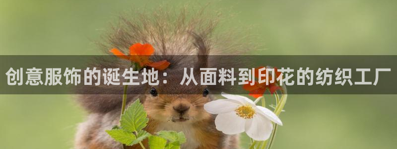 开丰娱乐上7O667